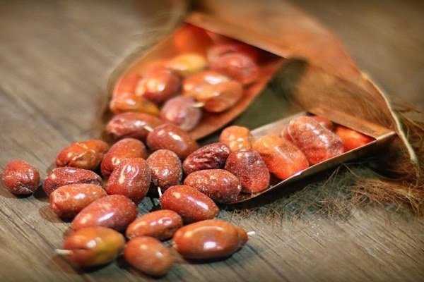 شفیعی: آذربایجان شرقی رتبه نخست کشور در تولید سنجد را دارد