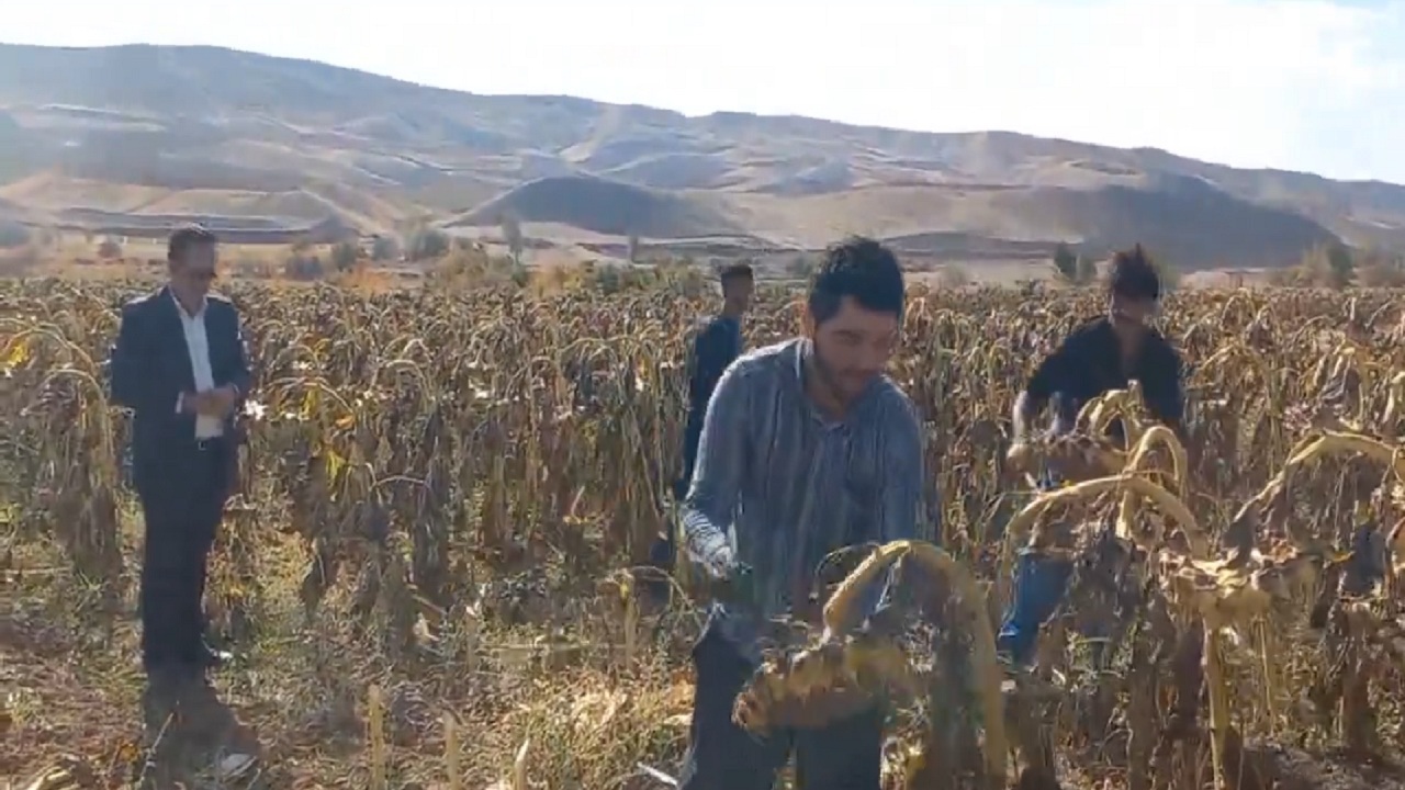 پیام آذری