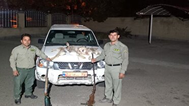 دستگیری شکارچیان غیرمجاز در مراغه