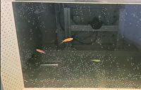 نصب دستگاه تشخیص آلاینده‌های آب، در تصفیه خانه مراغه