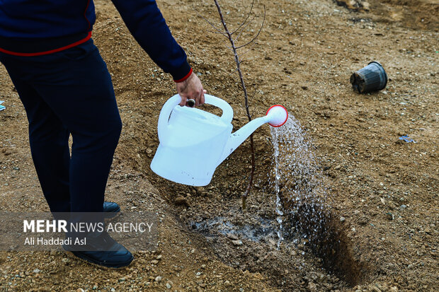 هدایت:پویش درختکاری مقاومت و اقتدار در مدارس اردبیل برگزار شد