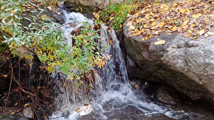 غوغای شگفت انگیز رنگ‌ها در دره اسپیران مراغه