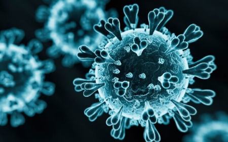 واکنش معاون وزیر بهداشت به اخبار «کرونای تیغی»