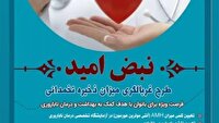 اجرای طرح غربالگری ذخیره تخمدانی بانوان در اردبیل