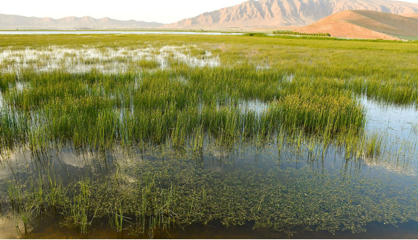 قوری‌گُل، داغی دیگر بر پیکر بی‌آب آذربایجان‌ شرقی