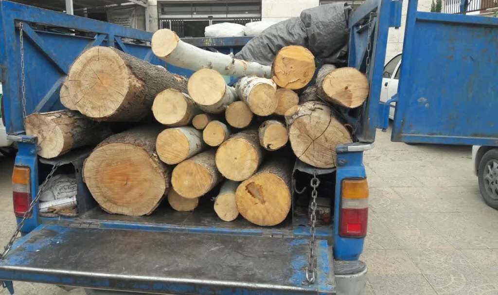 توقیف چوب‌آلات و هیزم قاچاق جنگلی در اردبیل