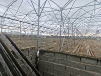 فعالیت بیش از ۳۰ واحد گلخانه‌ای در سلماس