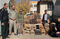 کشف و توقیف کبک‌های زنده و ادوات صید غیرمجاز در بوکان