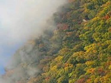 آتش سوزی در مراتع جنگلی روستای نمنق جلفا