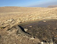 ساخت دو آبشخور در زیستگاه‌های  حیات وحش شهرستان شوط
