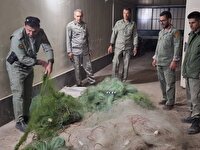 دو گروه صیاد متخلف در منطقه حفاظت شده تالاب نوروزلو دستگیر شدند