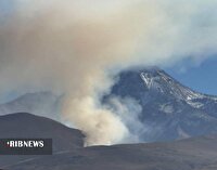 دو و نیم هکتار از مراتع دامنه سبلان طعمه حریق شد