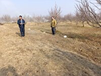 تحول در باغداری ارومیه با برق‌دار شدن چاه‌های کشاورزی