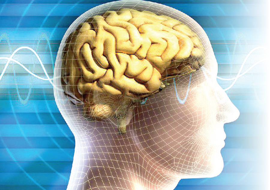 خاموشی ناگهانی سلول‌های مغز