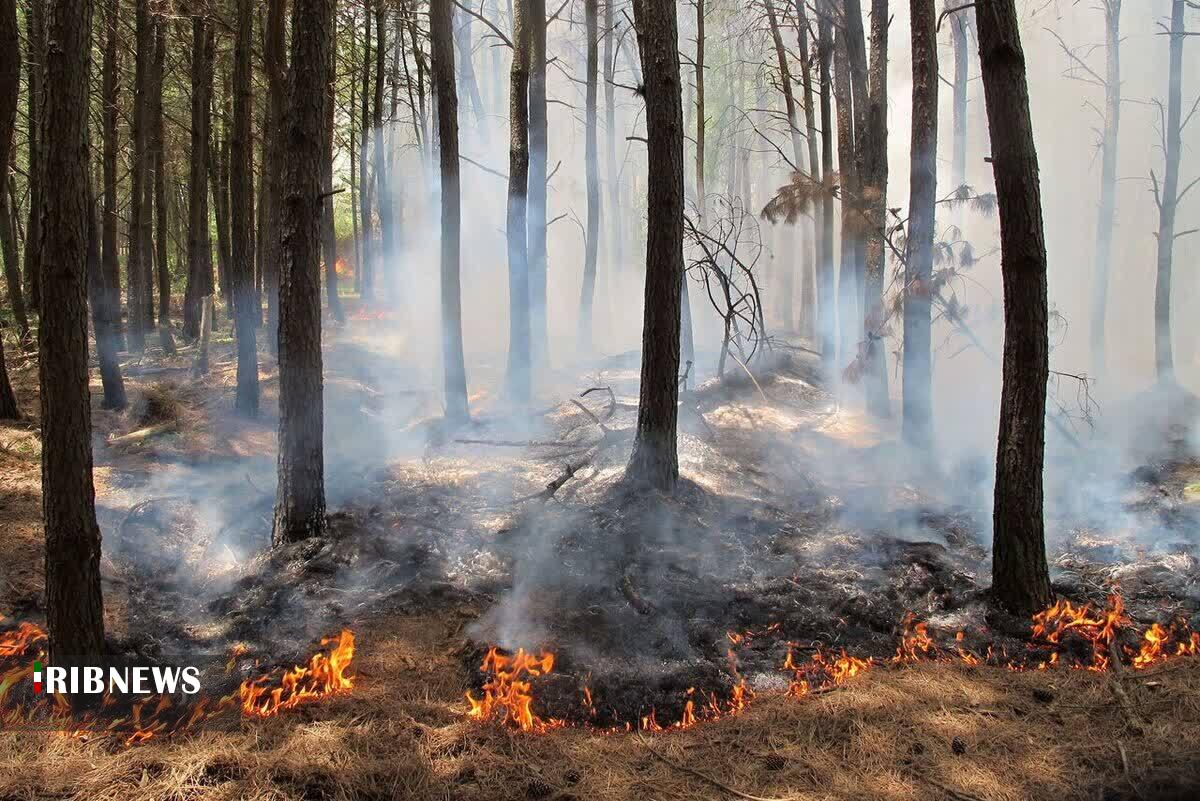 آتش گرفتن برگهای پاییزی در جنگلهای دیزمار