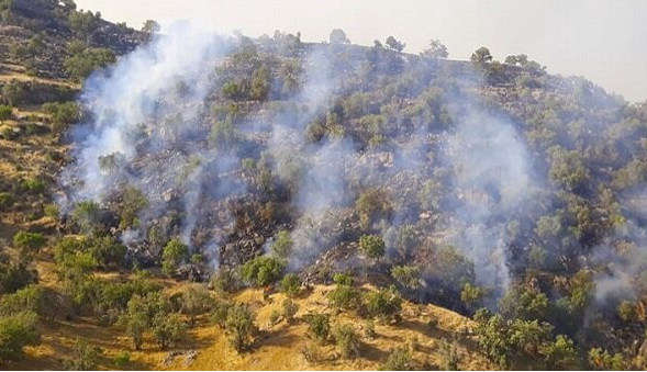 سوختن مجدد برگ‌های پاییزی، شائبه آتش‌سوزی جنگل دیزمار را ایجاد کرد