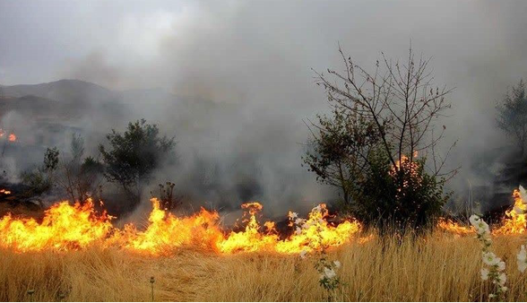 آخرین کانون آتش سوزی جنگل‌های دیزمار آذربایجان‌شرقی لکه گیری شد