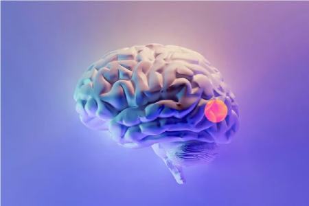 طراحی دارویی به صورت قطره بینی برای حذف تومورهای مغزی