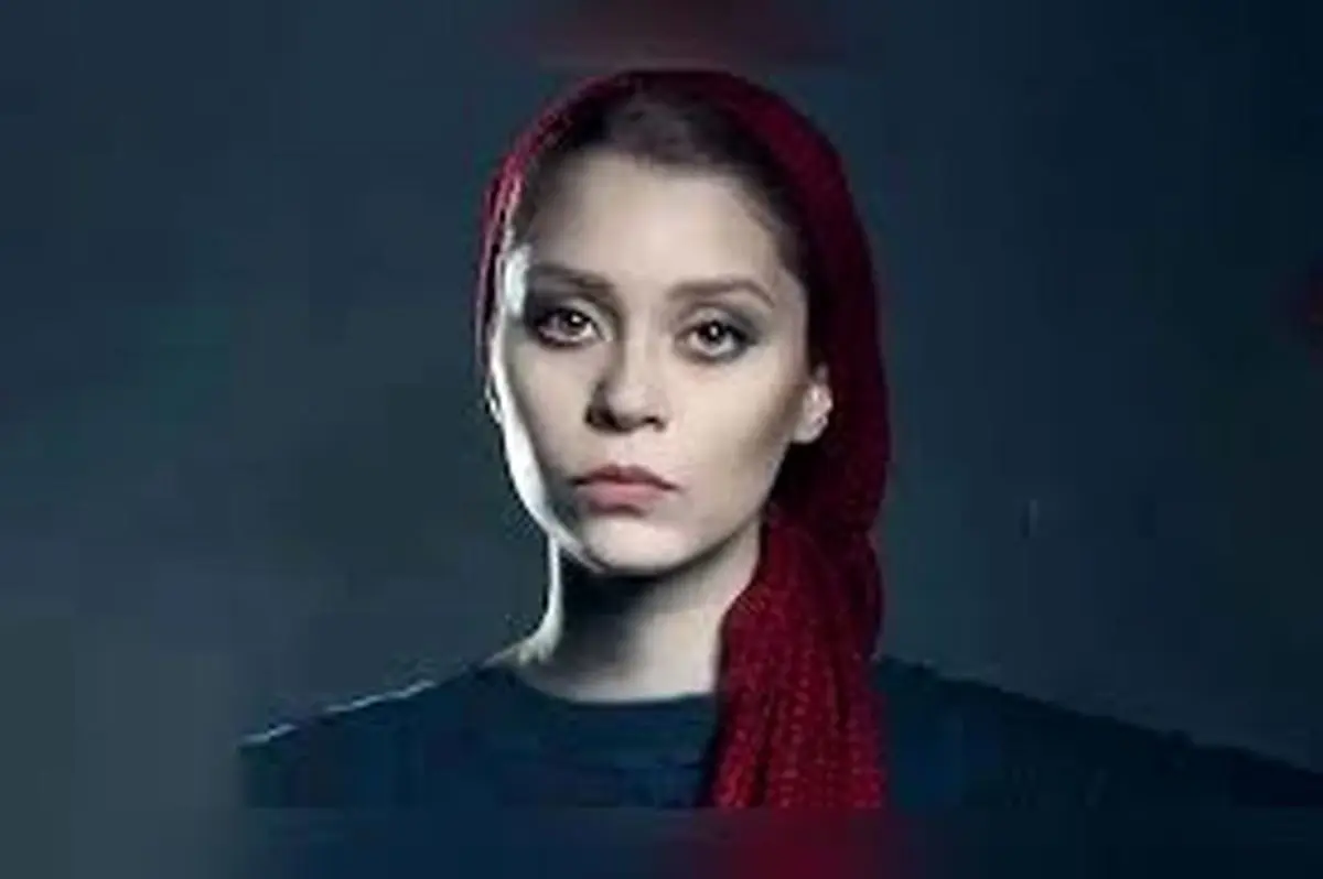 شادی کرم‌رودی: توییت‌های اخیرم درباره‌ی آرین وزیردفتری نبود