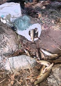 جمع‌آوری ادوات صید غیرمجاز از رودخانه زاب سردشت