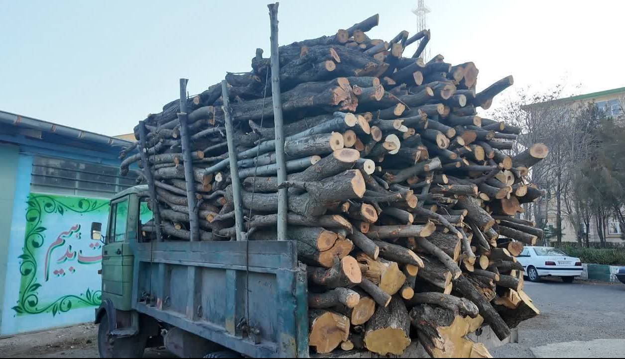 چهار تن هیزم جنگلی در اردبیل توقیف شد