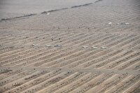 بررسی  ظرفیت‌های اشتغال و صادرات باغ ۲هزار هکتاری  پلدشت