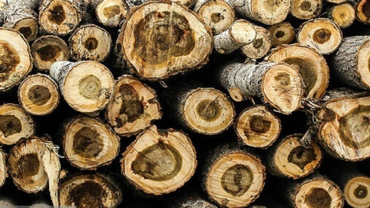 کشف بیش از ۵ تن چوب قاچاق در تبریز