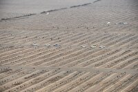 بازدید مسئولان ملی و استانی از باغ هوشمند ۲هزار هکتاری منطقه آزاد ماکو