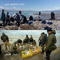 شیلات مزیت اقتصادی مشترک آذربایجان غربی وگلستان