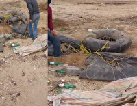 دستگیری متخلفین صید غیرمجاز در سد شهرچای ارومیه