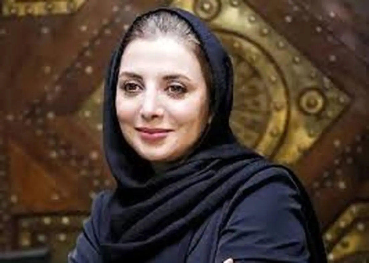 رویا میر علمی:«می خواستم با ماشین از روی دزدها رد شم»