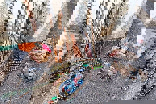 شیرپنجه: شکارچیان غیرمجاز در پارک ملی دریاچه ارومیه دستگیر شدند