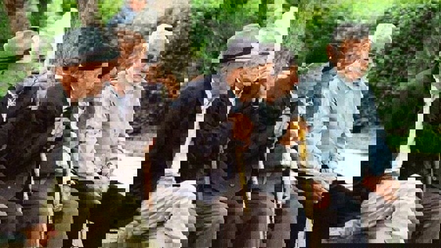 احمد نیا: سالمندی یک بحران تدریجی و انباشتی است