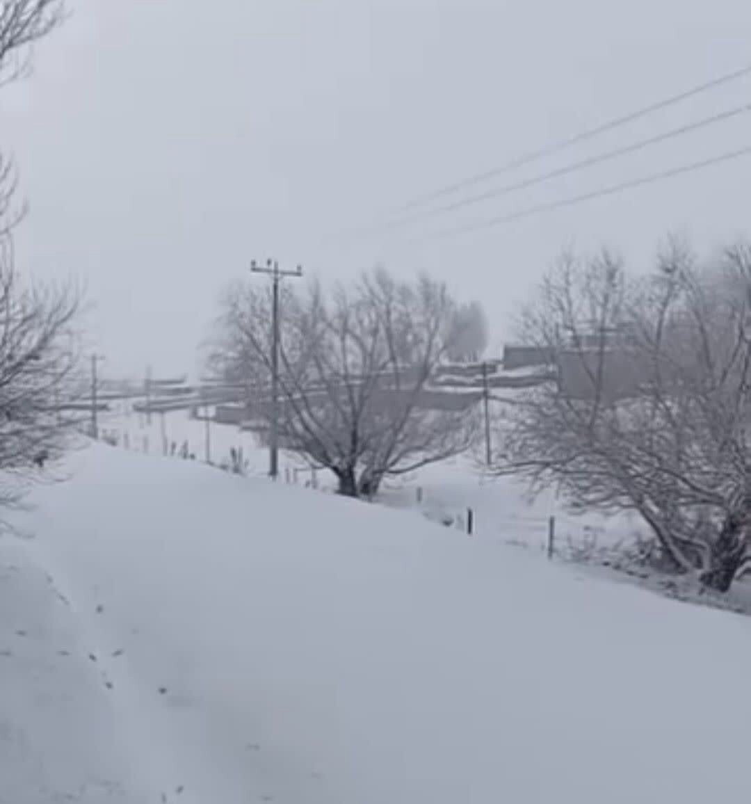 بارش برف بخش کوهسار سلماس را سفیدپوش کرد