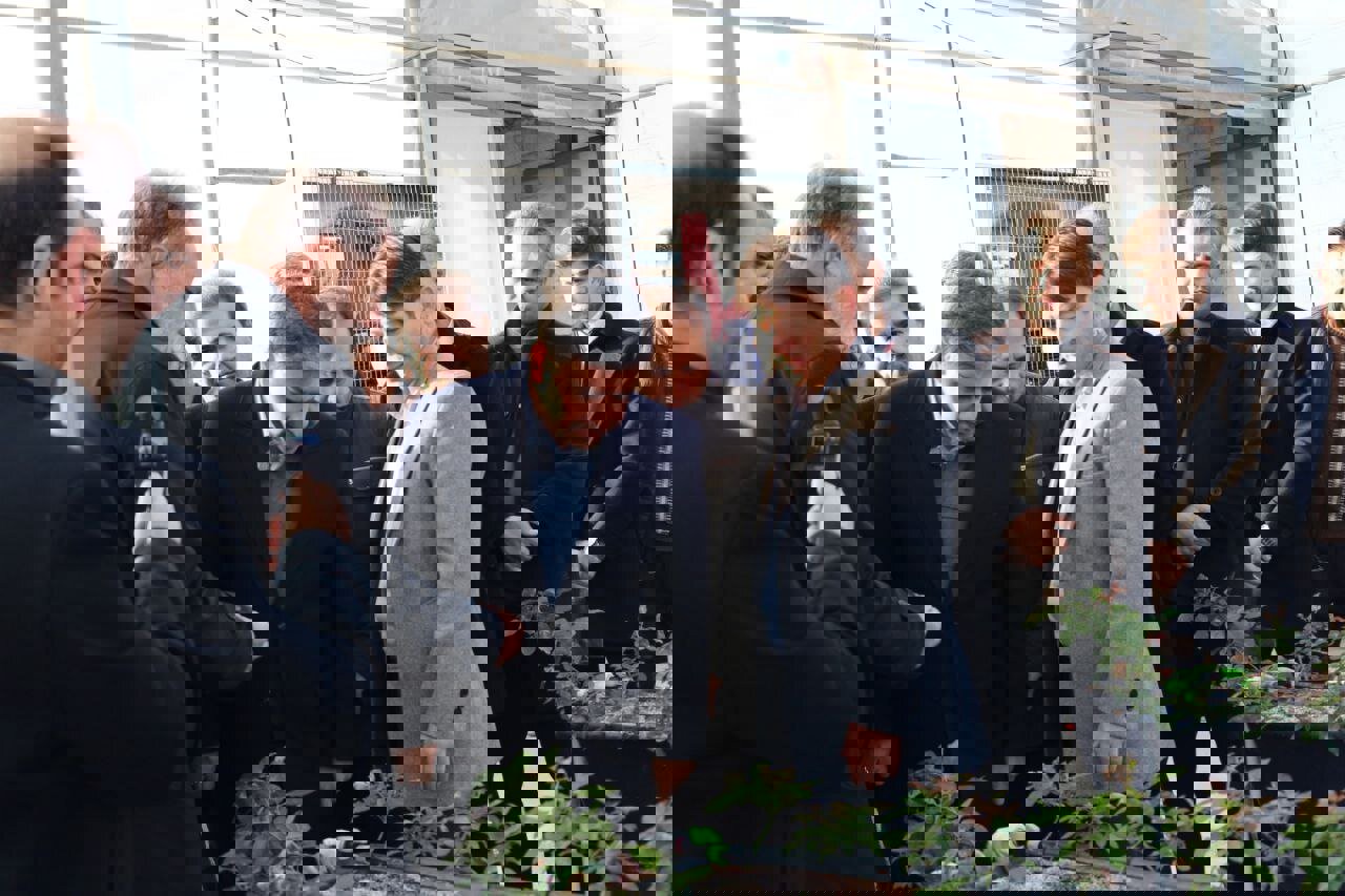 بهره‌برداری از یک گلخانه تولید گل در اندراب سرعین