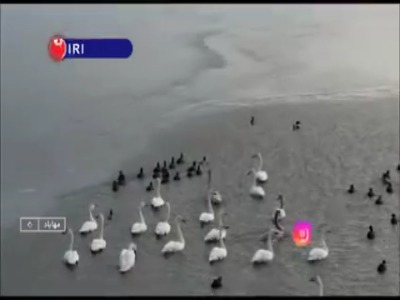 تالابی که خشکیده بود پر آب شد