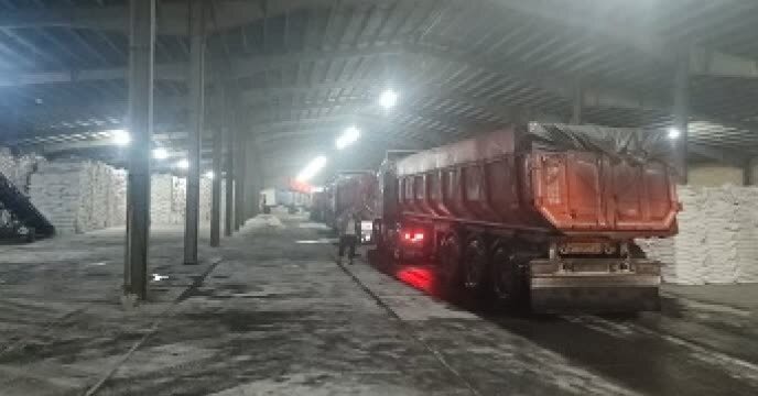 توزیع بیش از ۱۴۴۷ تن انواع کود کشاورزی در شهرستان چالدران