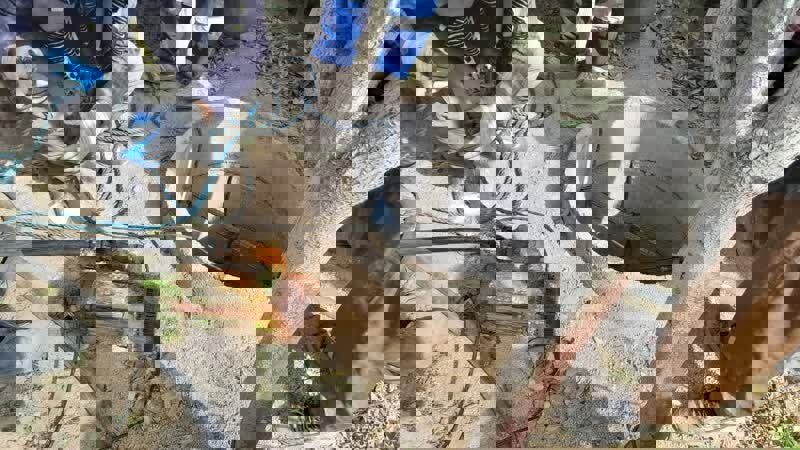 عباسی: ۵۳ حلقه چاه غیرمجاز در بوکان مسدود شد