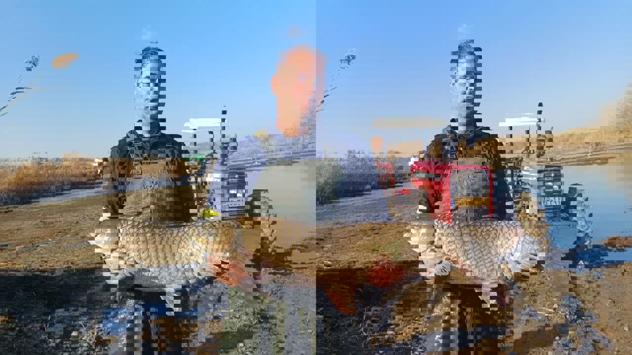 اله‌بخش: برداشت ماهیان گرمابی در پارس‌آباد آغاز شد