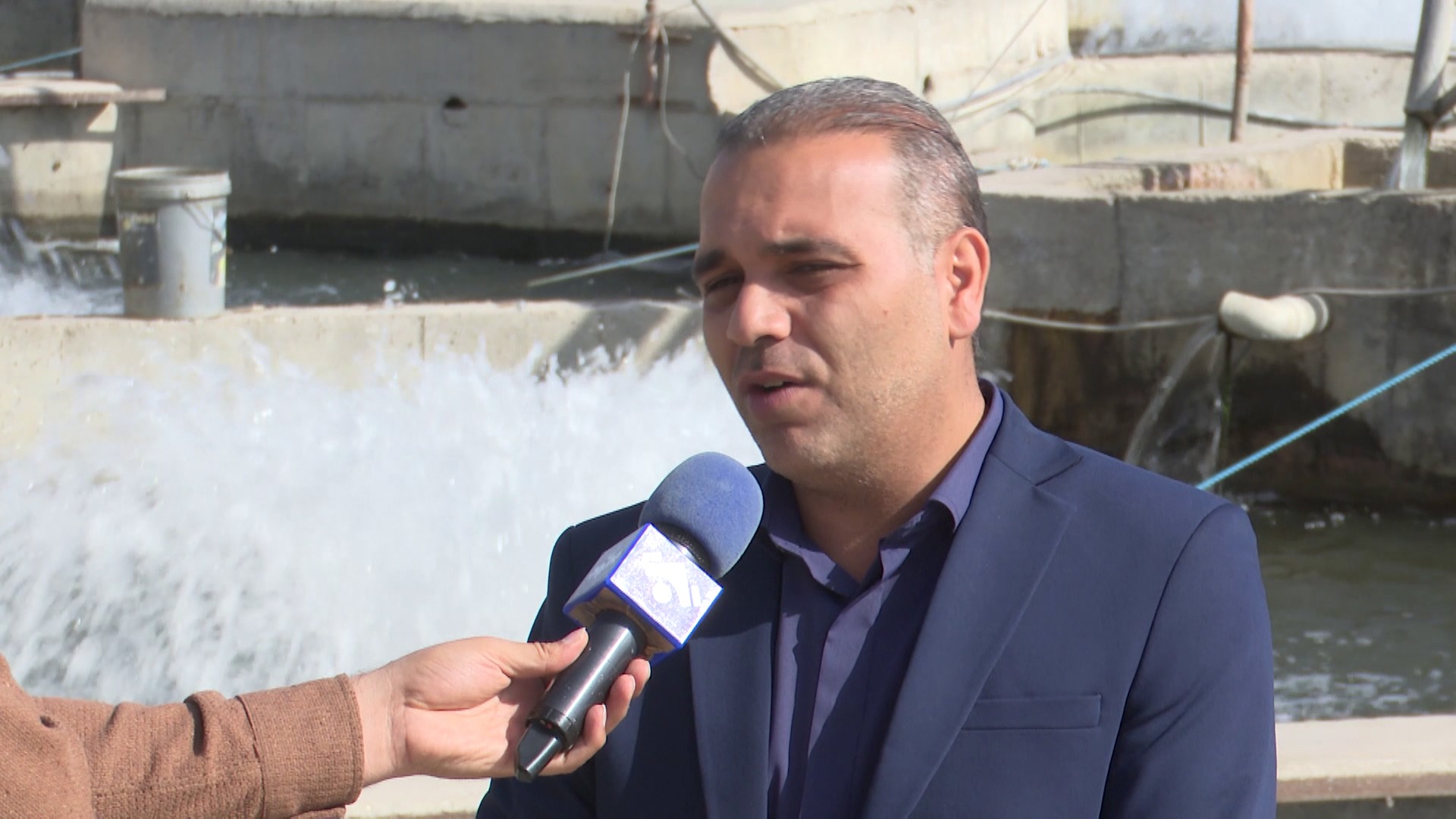 آغاز برداشت ماهیان گرمابی در اردبیل