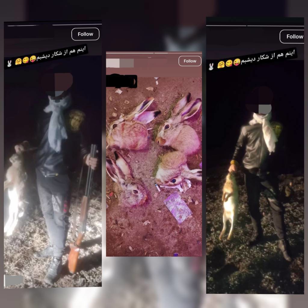 شناسایی متخلف شکار غیرمجاز در چالدران بارصد فضای مجازی