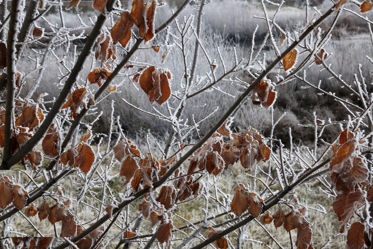 باغ‌های میوه اردبیل برای مقابله با سرمازدگی آماده شد