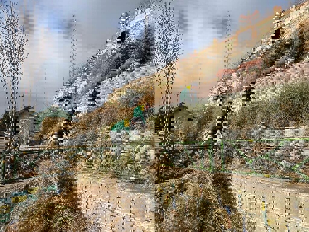 خدمتی:عملیات کاشت گل و گیاه در سطح شهر اردبیل در حال انجام است