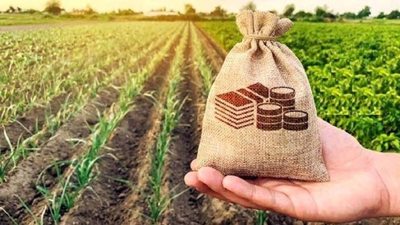 اعطای وام اشتغال به روستاییان در آذربایجان شرقی