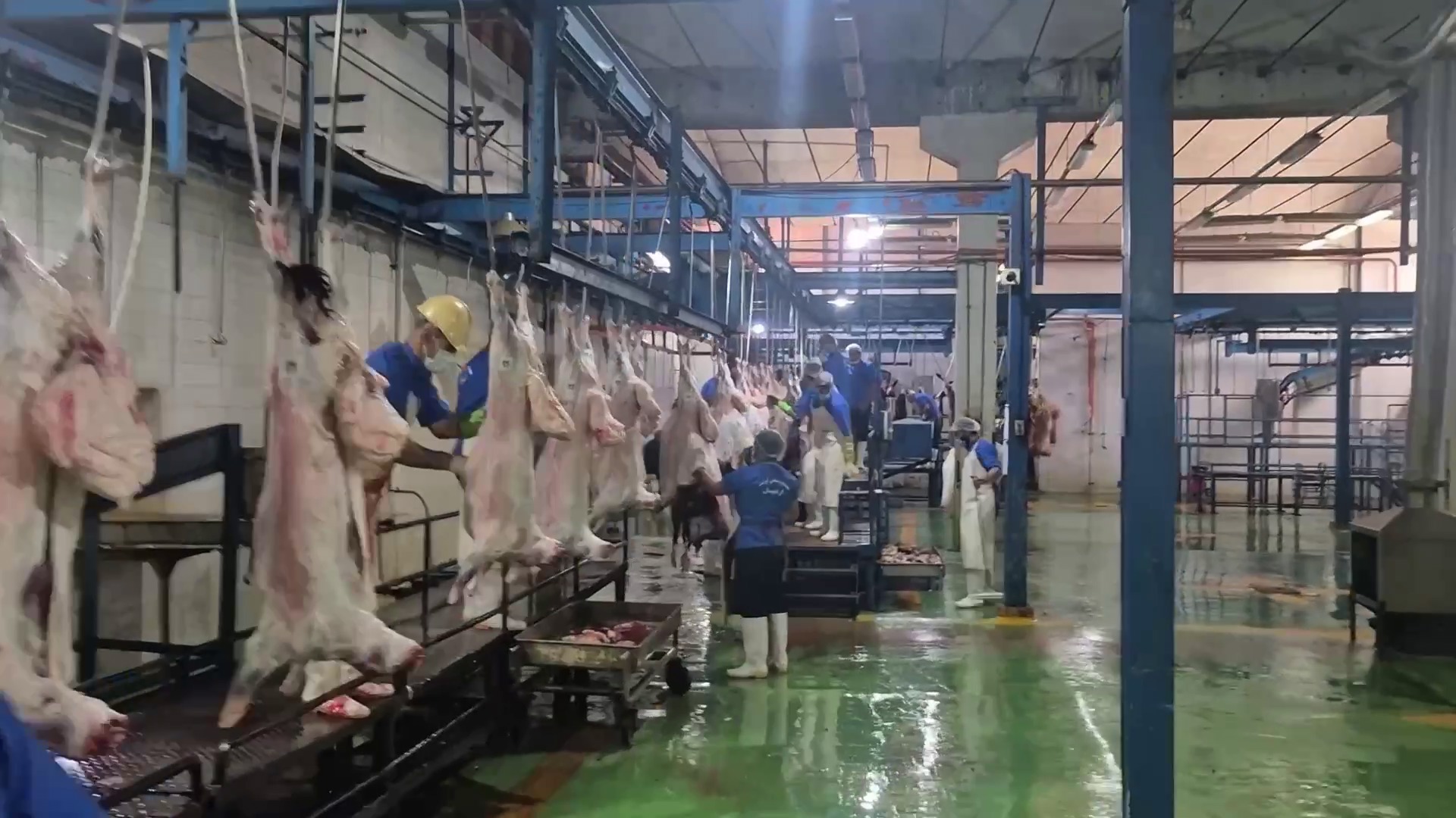 ۸۰ درصد کشتارگاه‌های اردبیل سنتی است