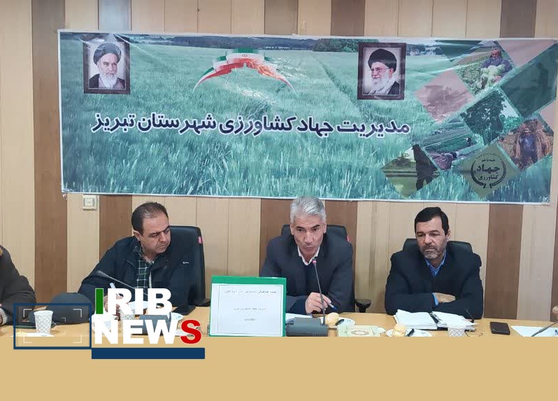 توزیع عادلانه نهاده دامی با آمارگیری دقیق دام سنگین در تبریز