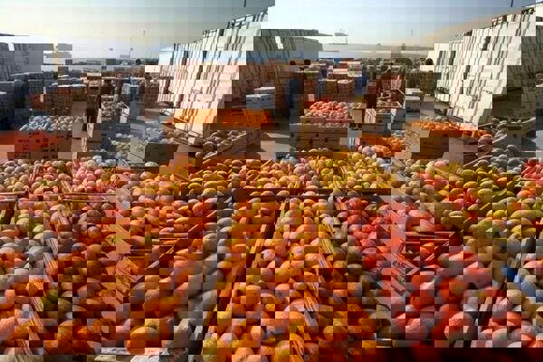 نظارت قرنطینه‌ای شرط اصلی سلامت صادرات و واردات محصولات کشاورزی