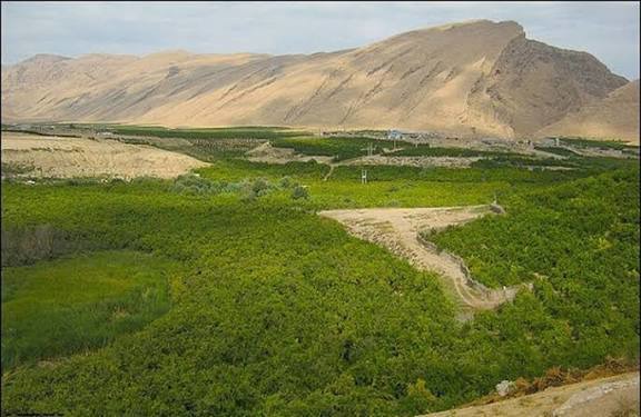 بررسی ۶۰ پرونده در کمیسیون واگذاری اراضی برای طرح‌های کشاورزی و غیرکشاورزی در آذربایجان غربی