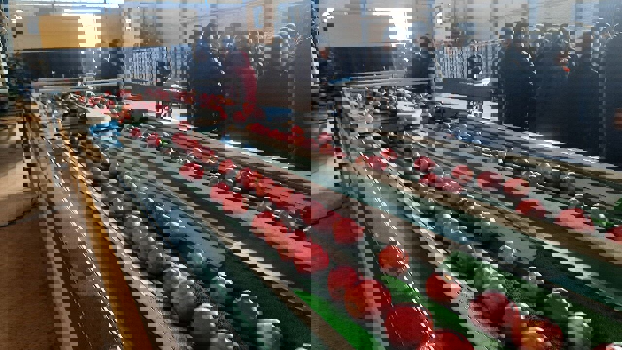 واحد سردخانه، سورتینگ و بسته بندی اشنویه افتتاح شد