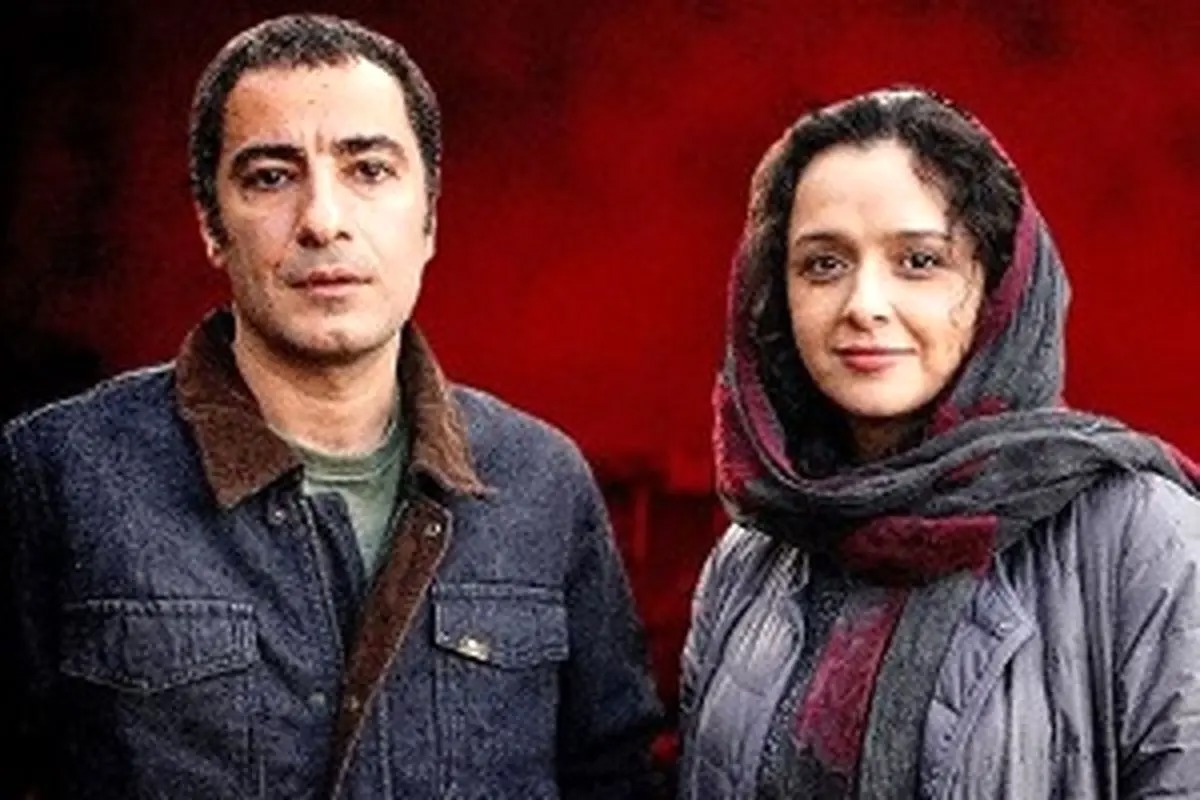 پیغام معنادار نوید محمدزاده بعد از مصاحبه ترانه علیدوستی